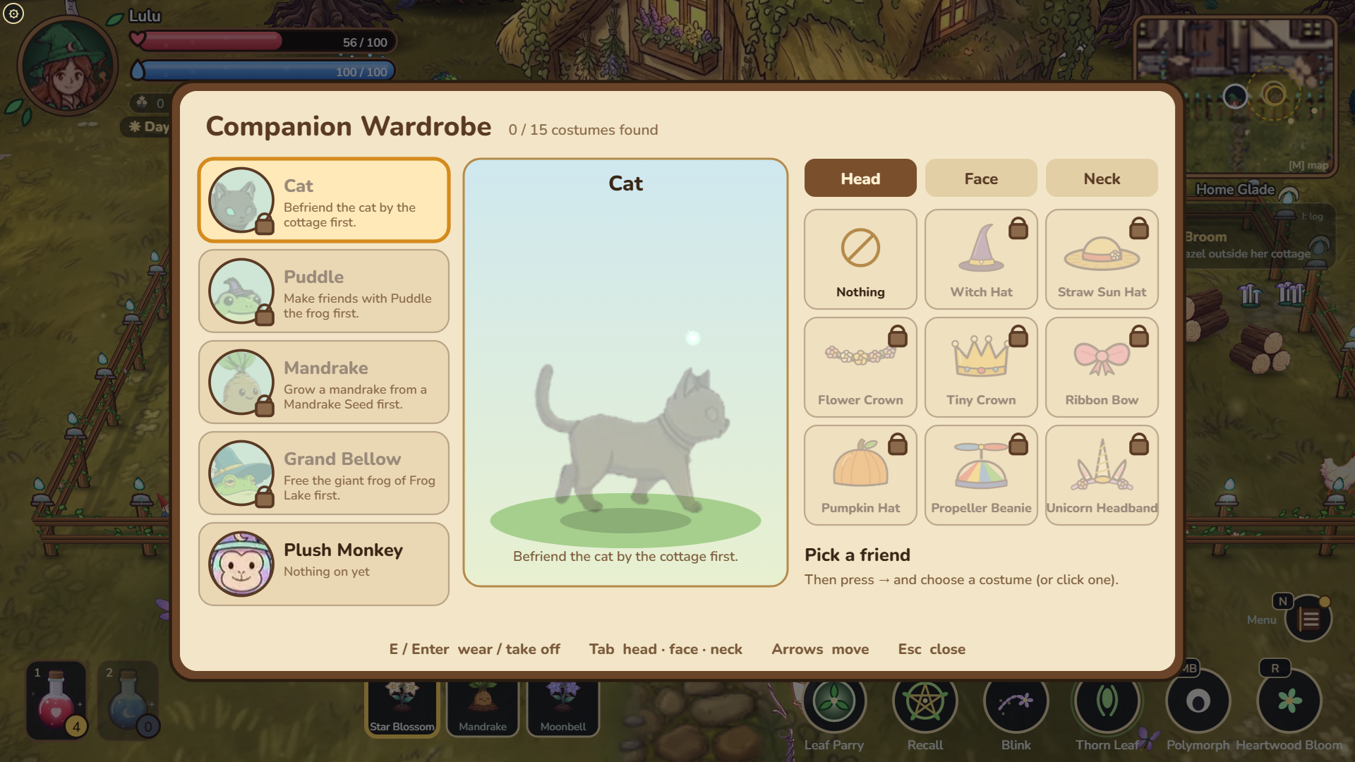 Companion wardrobe interface